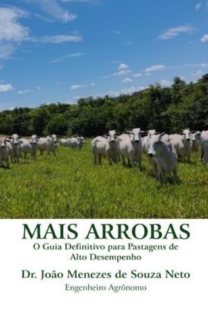 MAIS ARROBAS