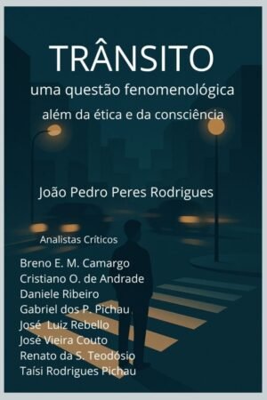 TRÂNSITO: UMA QUESTÃO FENOMENOLÓGICA